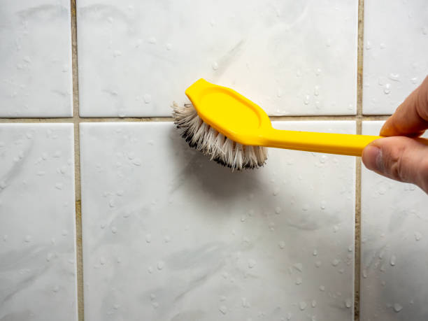 Best Commercial Mold Removal  in Wailea, HI