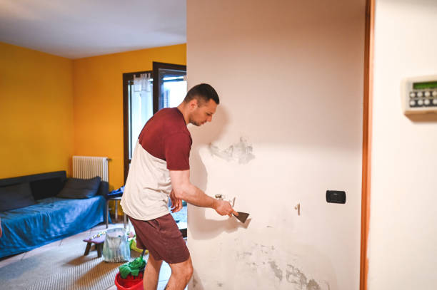 Trusted Wailea, HI Mold Removal Experts